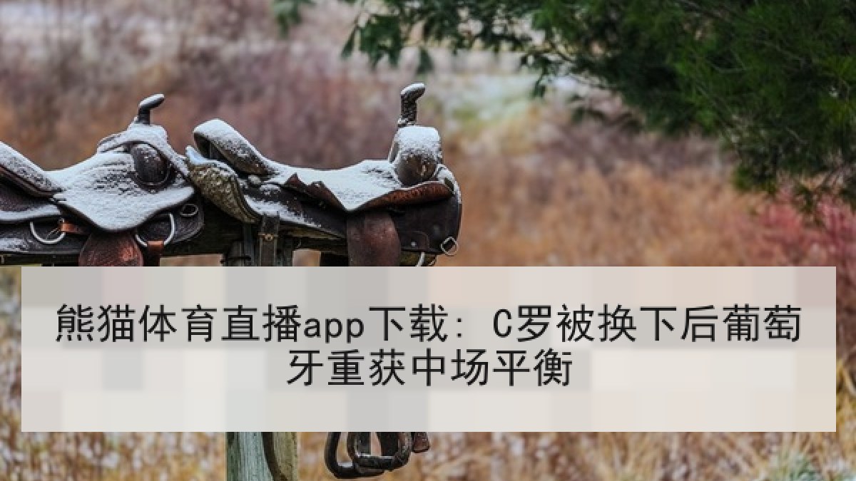 熊猫体育直播app下载: C罗被换下后葡萄牙重获中场平衡