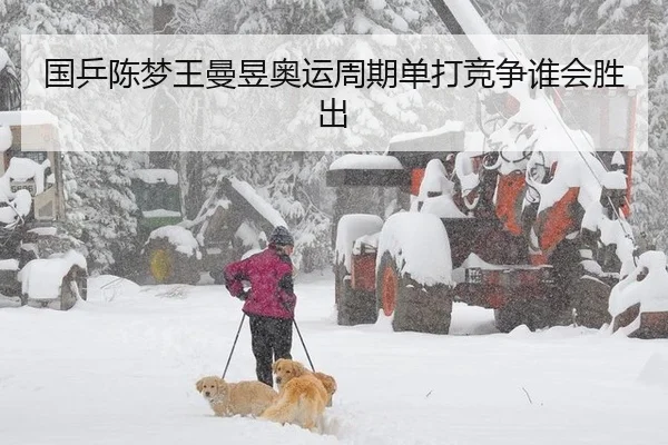 国乒陈梦王曼昱奥运周期单打竞争谁会胜出