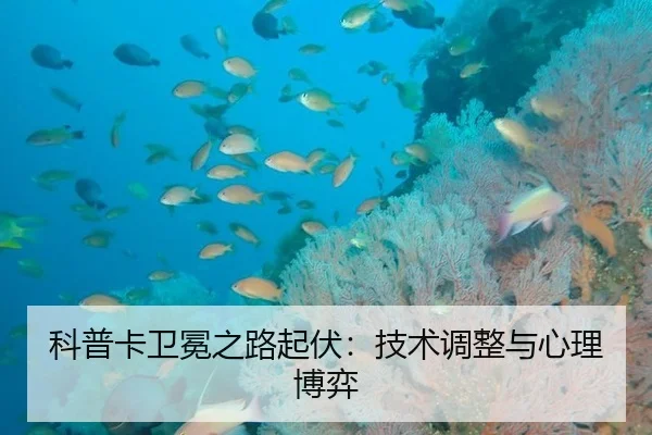 科普卡卫冕之路起伏：技术调整与心理博弈