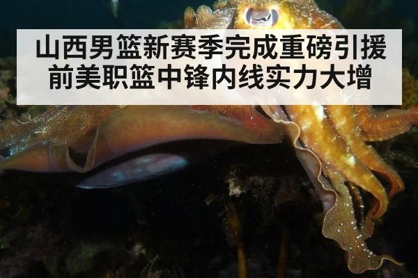 山西男篮新赛季完成重磅引援前美职篮中锋内线实力大增