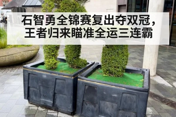 石智勇全锦赛复出夺双冠，王者归来瞄准全运三连霸
